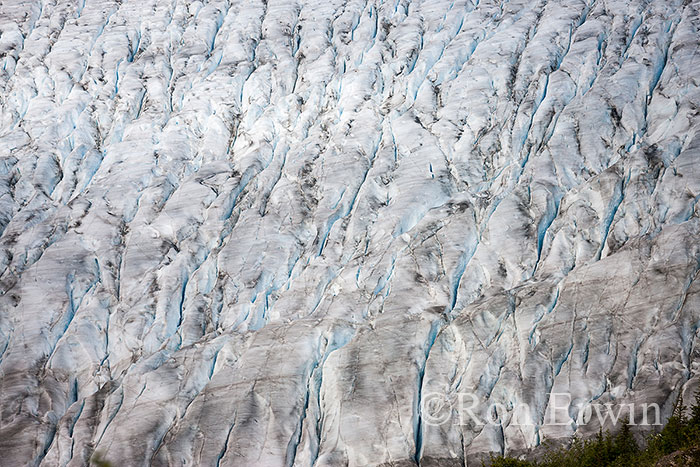 Salmon Glacier, BC