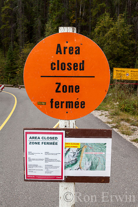 Cavell Road Closed Signs, Jasper