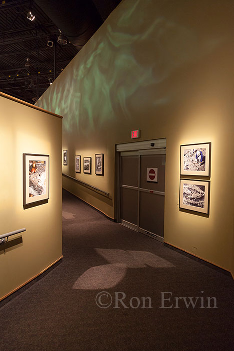 Royal Tyrrell Museum Exhibit