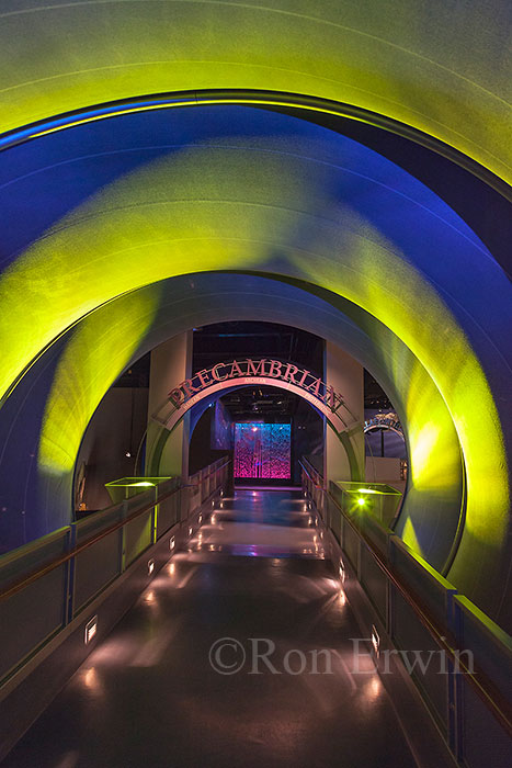 Royal Tyrrell Museum Time Tunnel