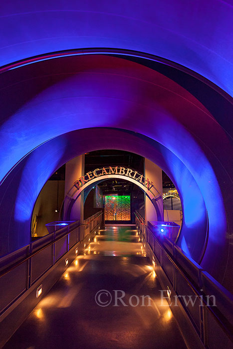Royal Tyrrell Museum Time Tunnel