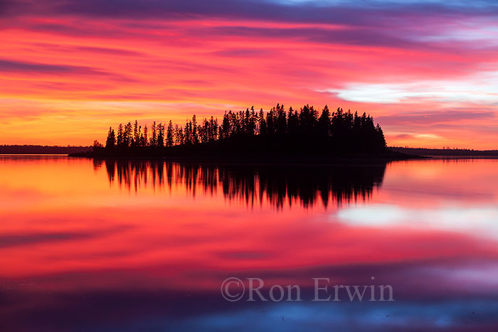 Elk Island National Park, AB