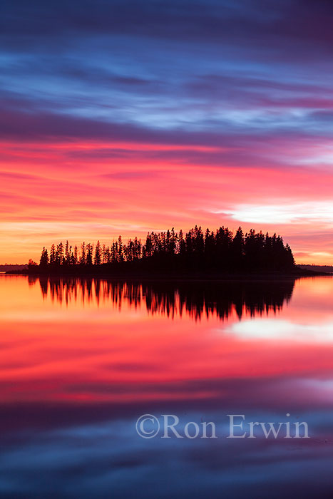 Elk Island National Park, AB