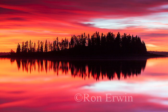 Elk Island National Park, AB