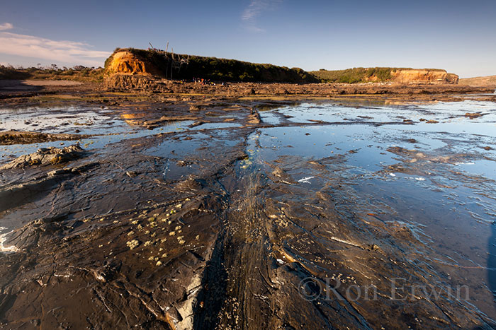 Jurassic Petrified Forest, NZ