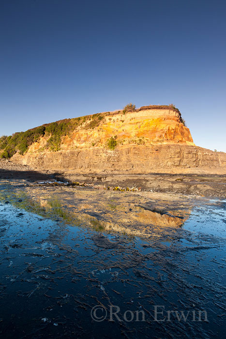 Curio Bay, New Zealand