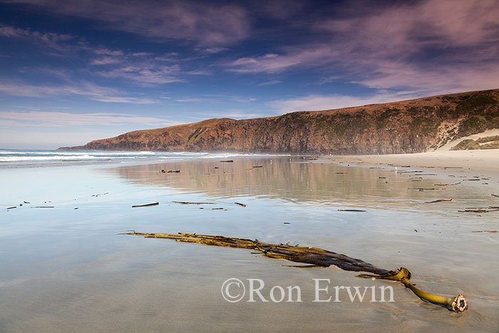  Sandfly Bay, New Zealand