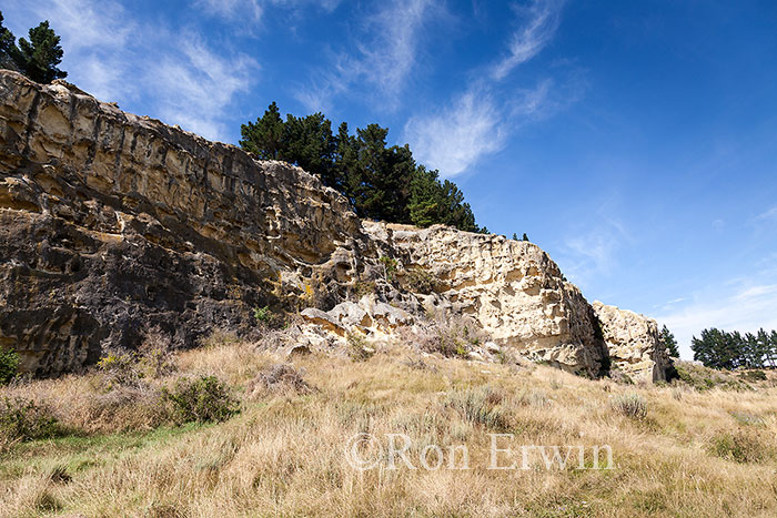 Maori Rock Art