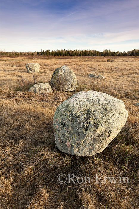 Erratic Rocks