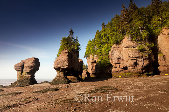 Hopewell Rocks, NB