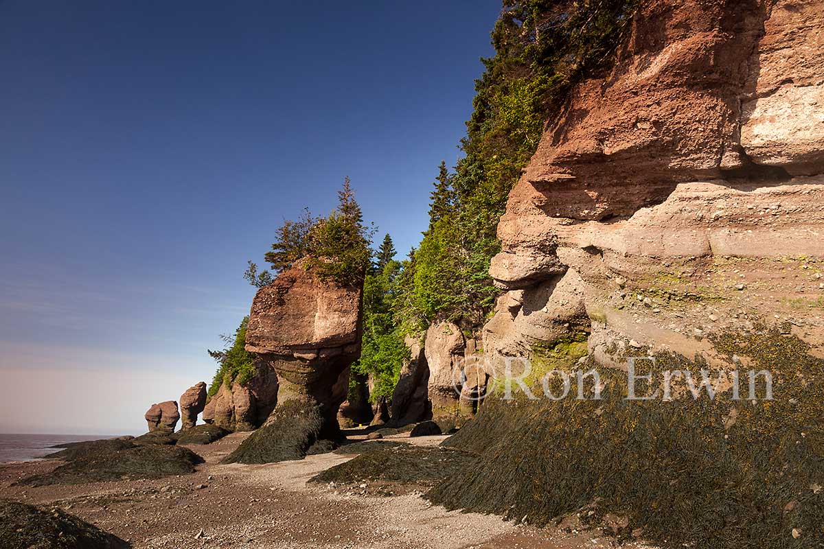 Hopewell Rocks, NB