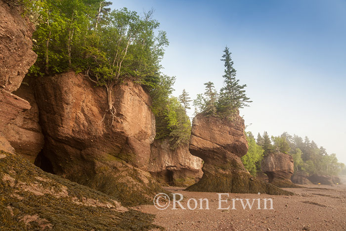 Hopewell Rocks, NB