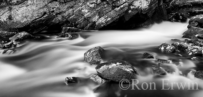 Leaves, Rocks & Stream