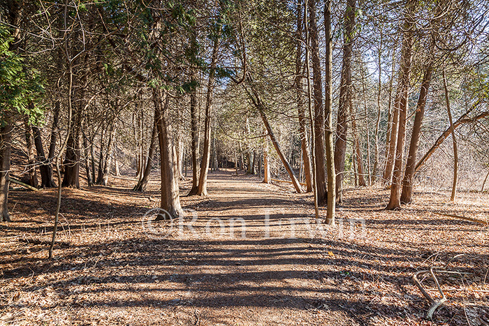 Rouge Park, ON