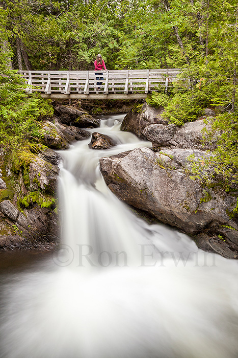 Williams Falls, New Brunswick