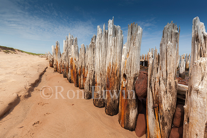 Pilings, St Peters Harbour, PE