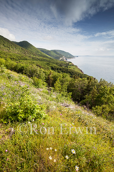 Cape Breton Highlands National Park, NS
