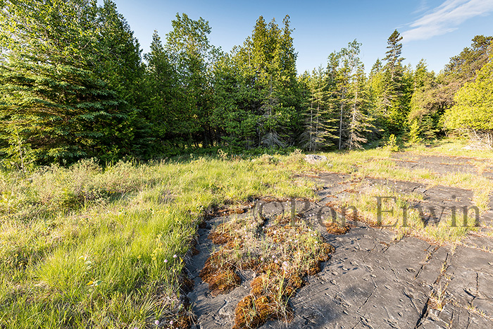 Misery Bay Provincial Park, ON