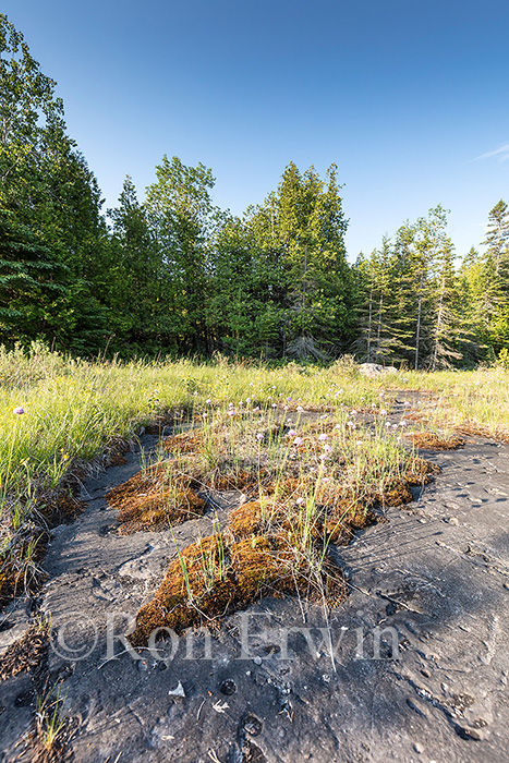 Misery Bay Provincial Park, ON