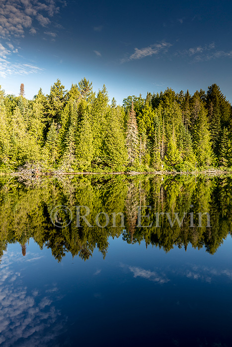 Source Lake, Algonquin, ON
