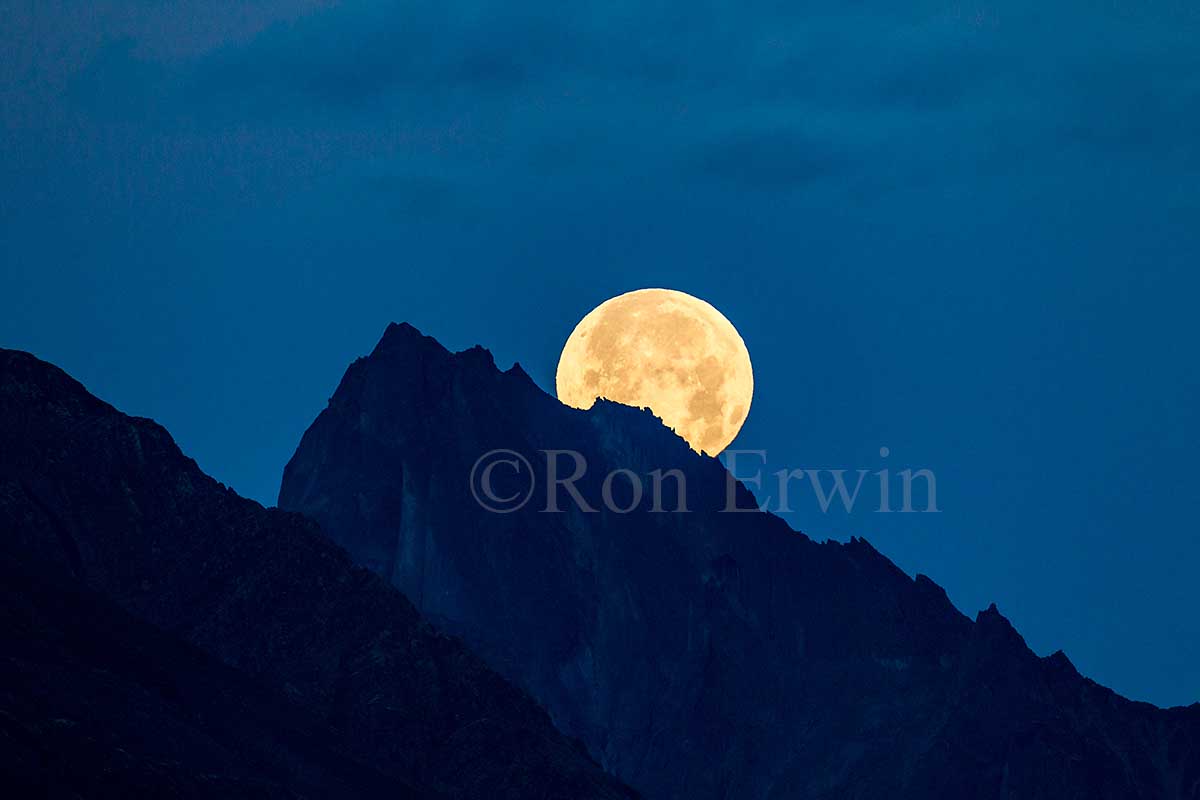 Moon Setting at Tombstone Park, YT