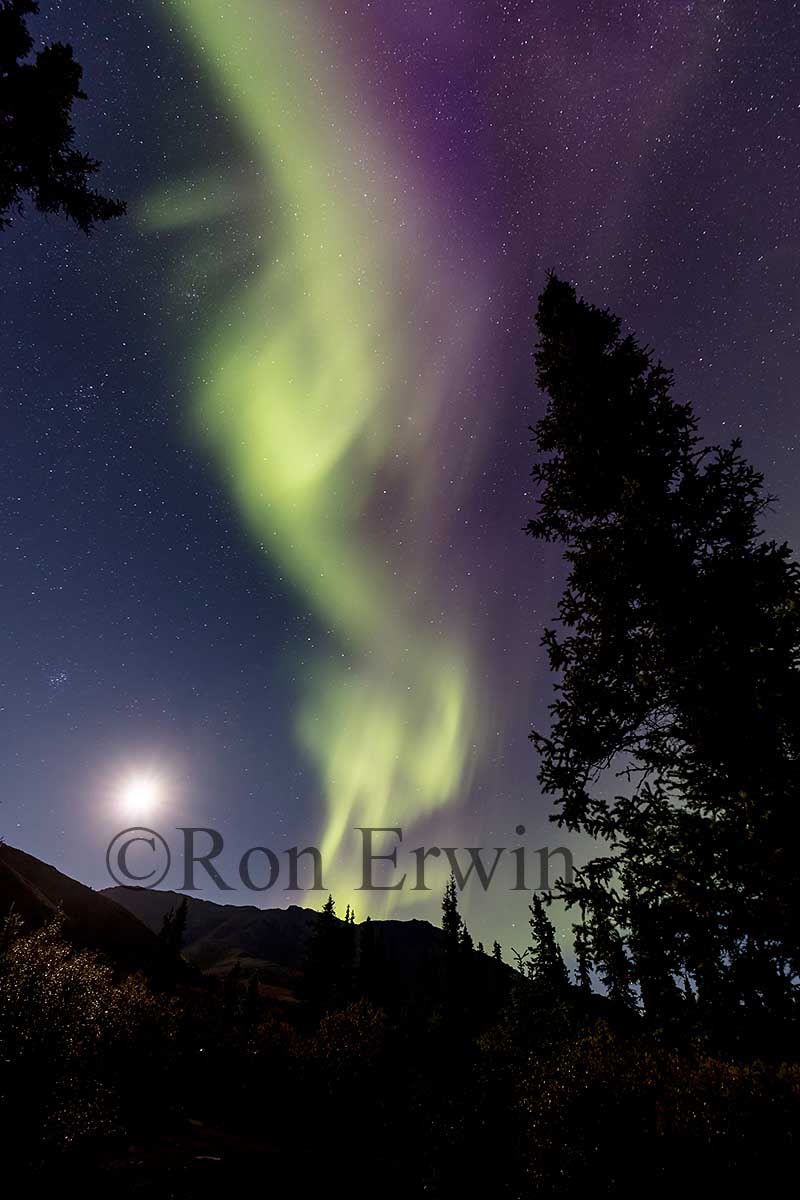 Aurora Borealis at Tombstone Park, YT