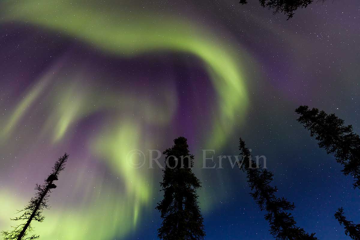 Aurora Borealis at Tombstone Park, YT