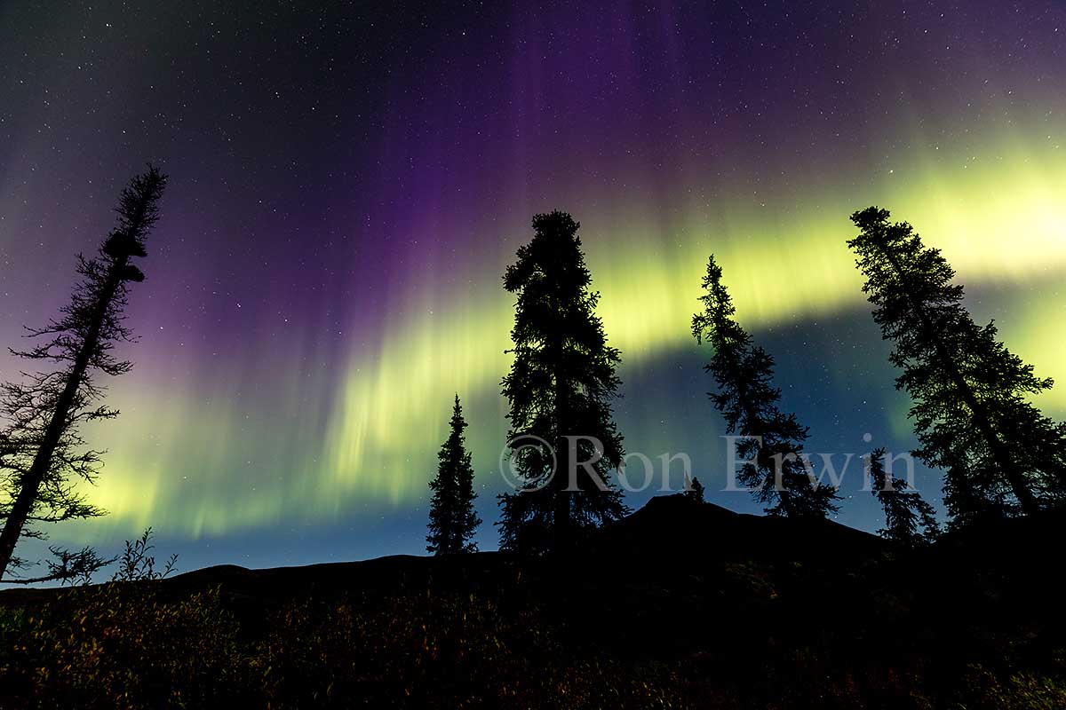 Aurora Borealis at Tombstone Park, YT
