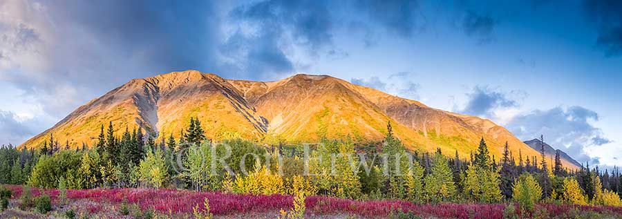 Yukon in Autumn