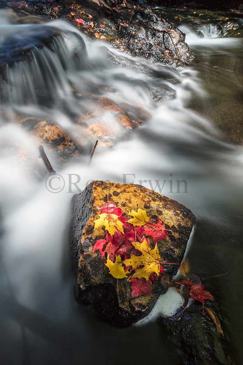 Autumn in Killarney, ON