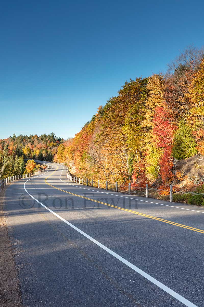 Algonquin ON in Autumn