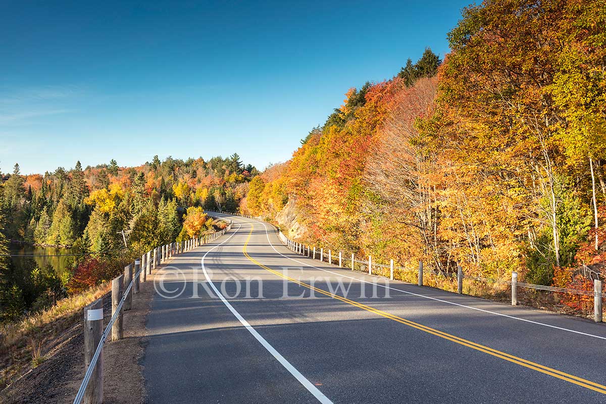 Algonquin ON in Autumn