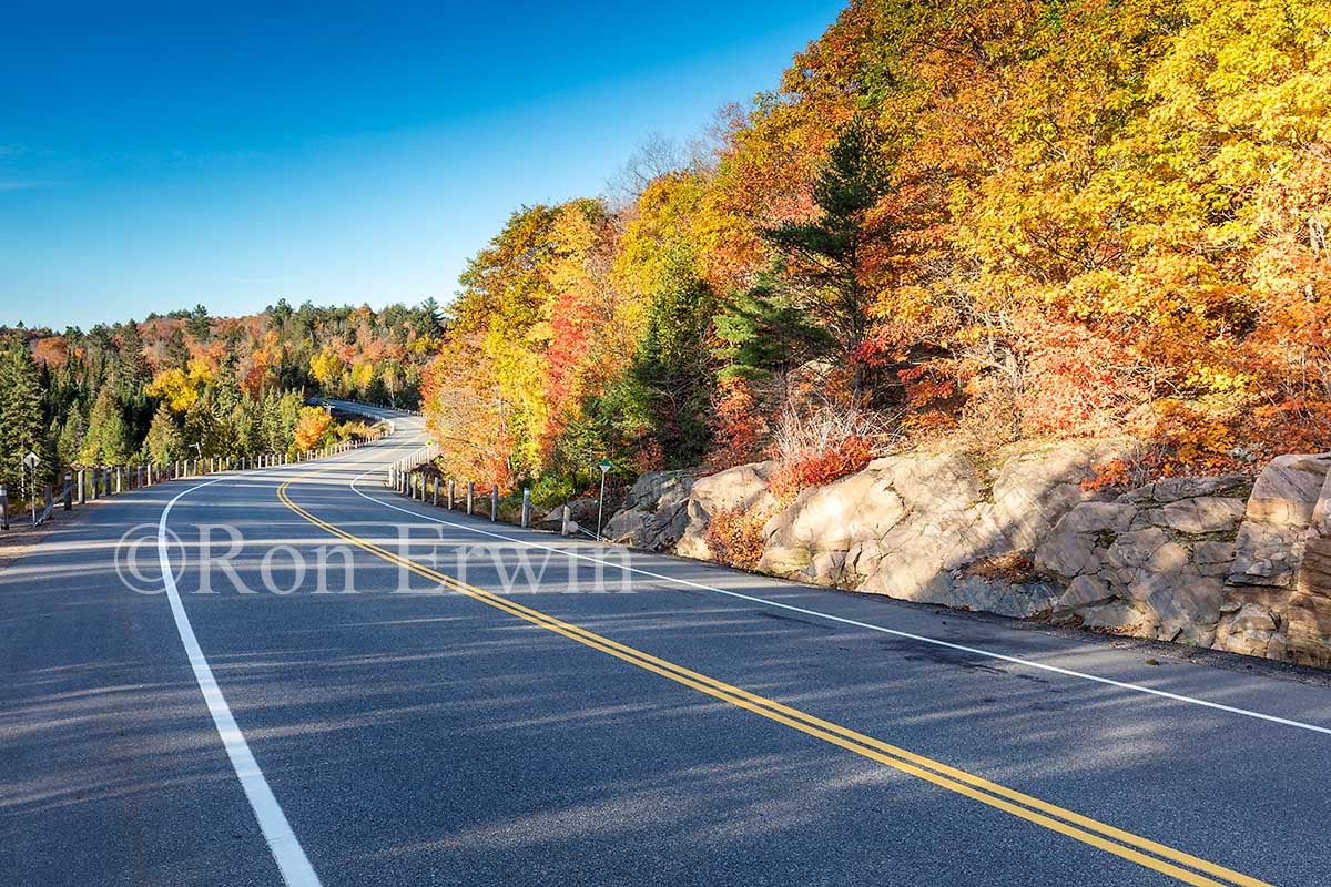 Algonquin ON in Autumn