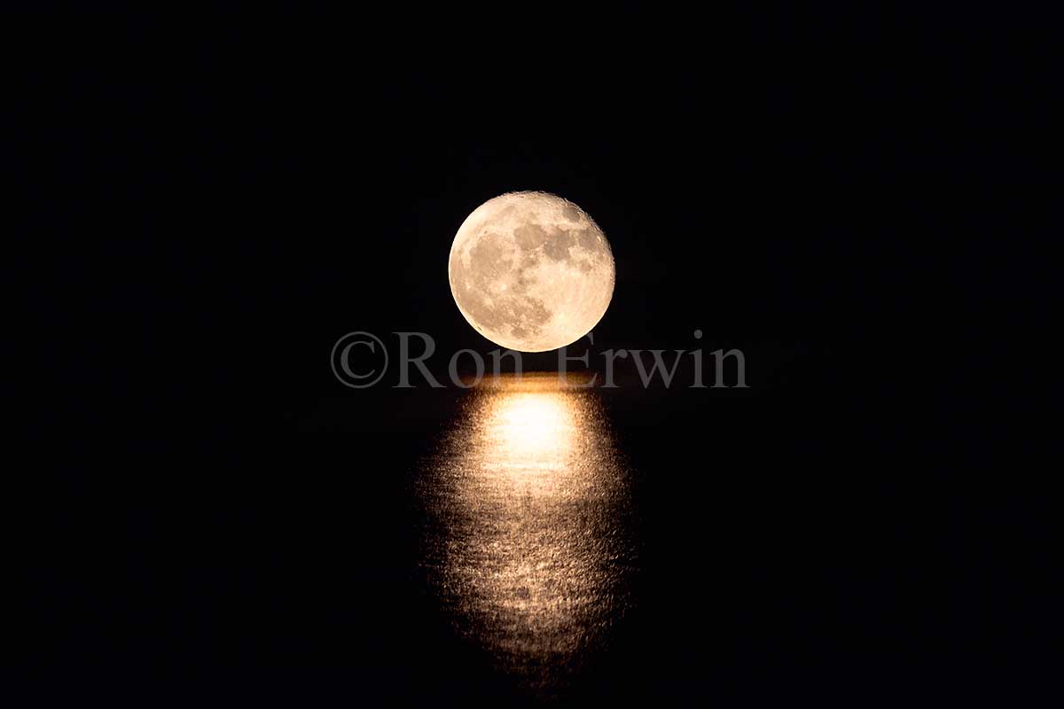 Full Supermoon