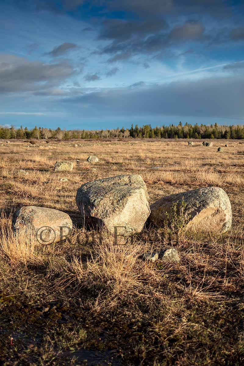 Glacial Erratic Rocks
