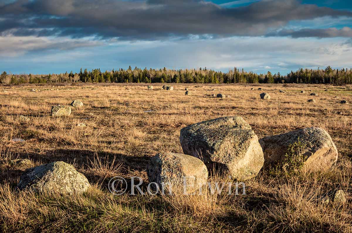 Glacial Erratic Rocks