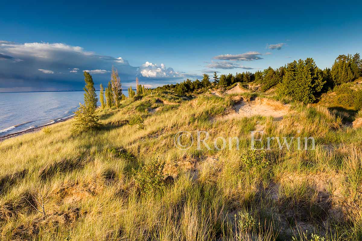 Dunes at Burley Beach, The Pinery, ON