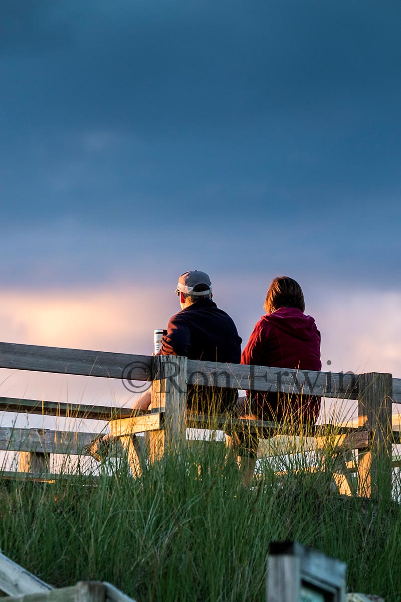 Sunset viewing at the Pinery, ON