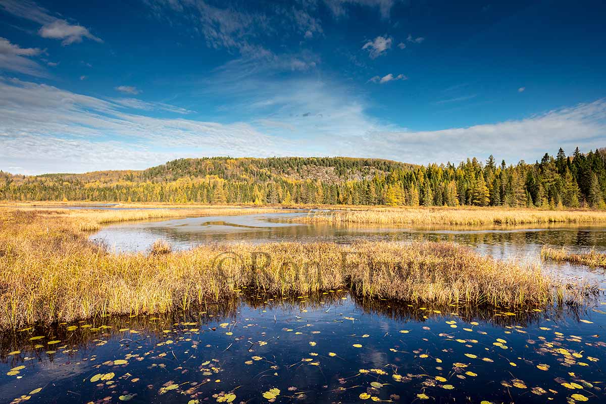 Algonquin Ontario in Autumn