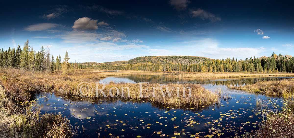Algonquin Ontario in Autumn