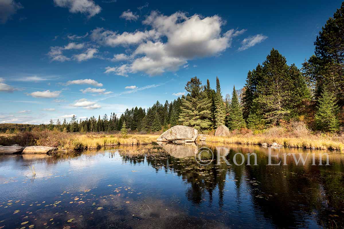 Algonquin Ontario in Autumn