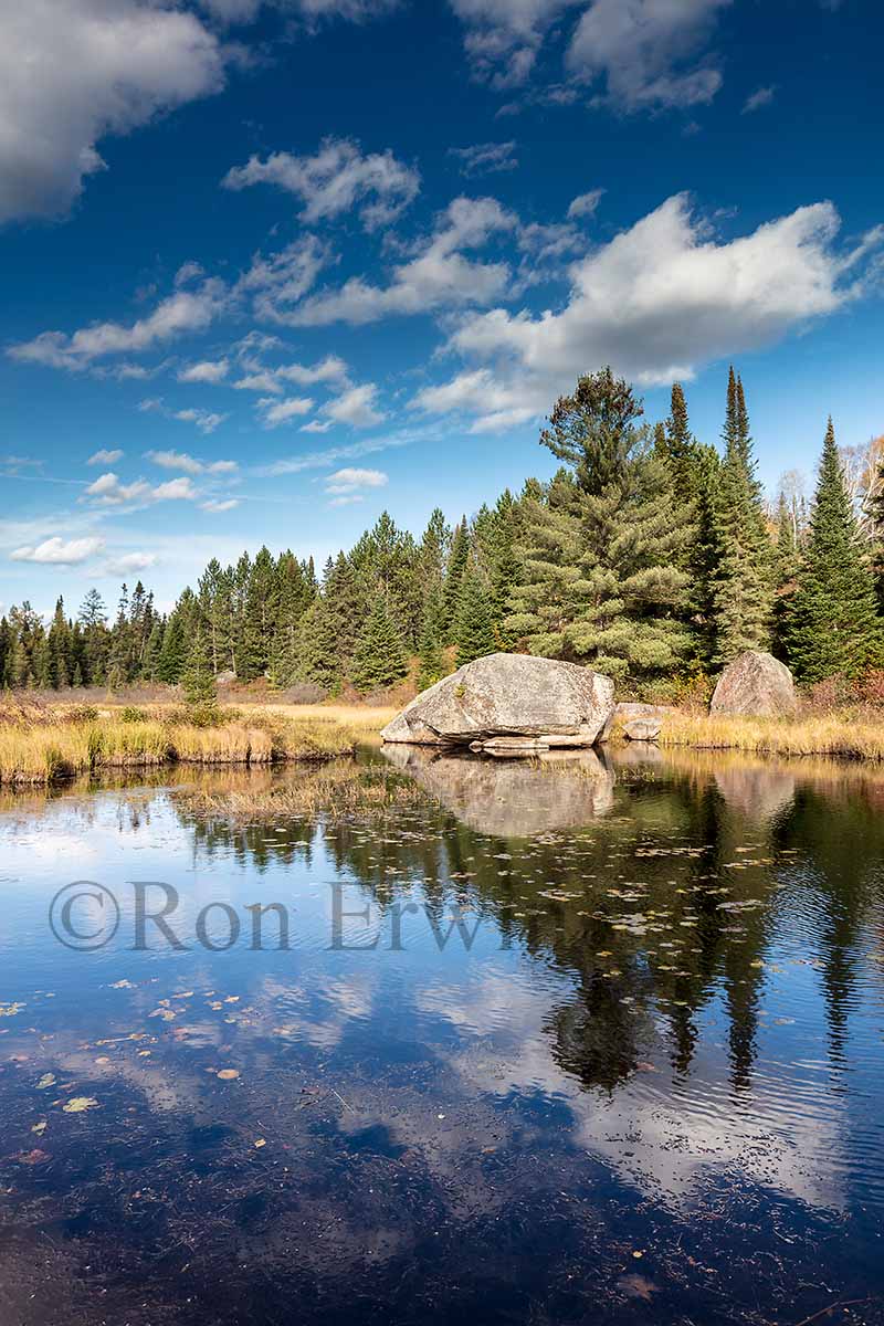 Algonquin Ontario in Autumn