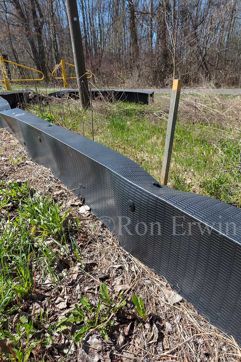 Turtle Fencing in Presqu'iles Park, ON