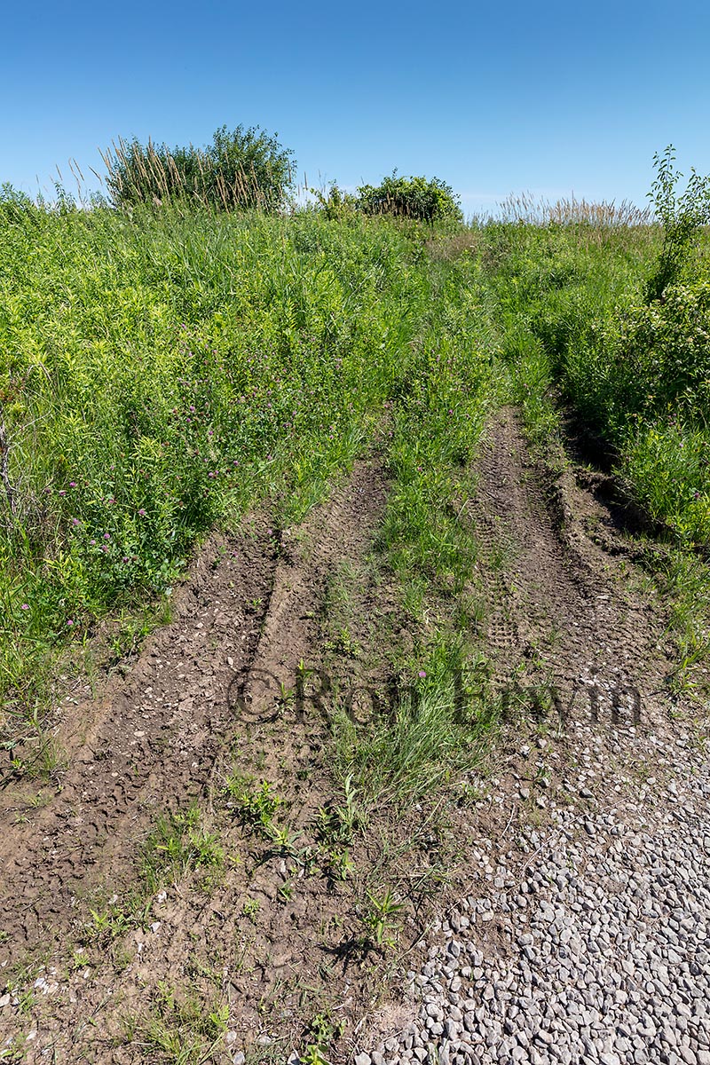 ATV tracks