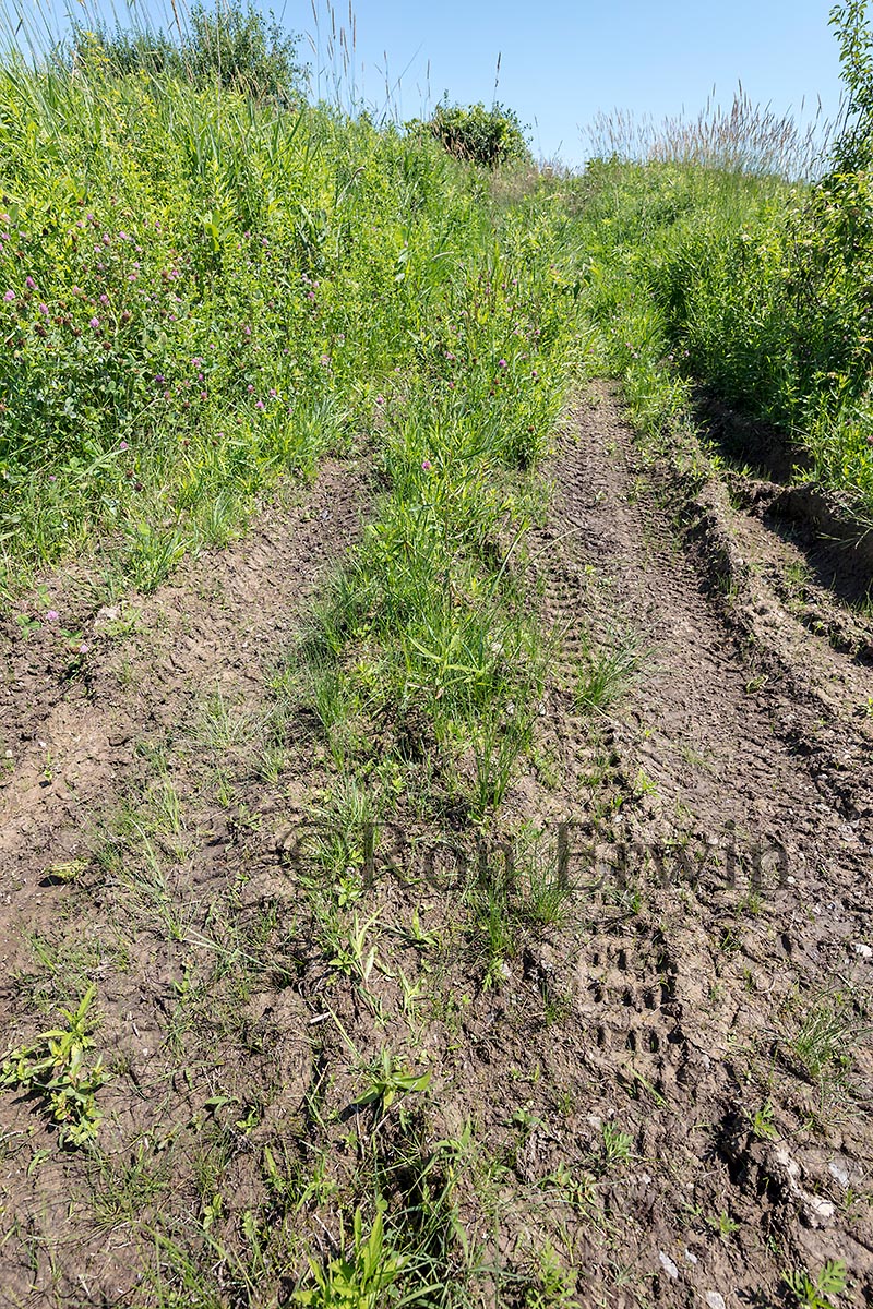 ATV tracks