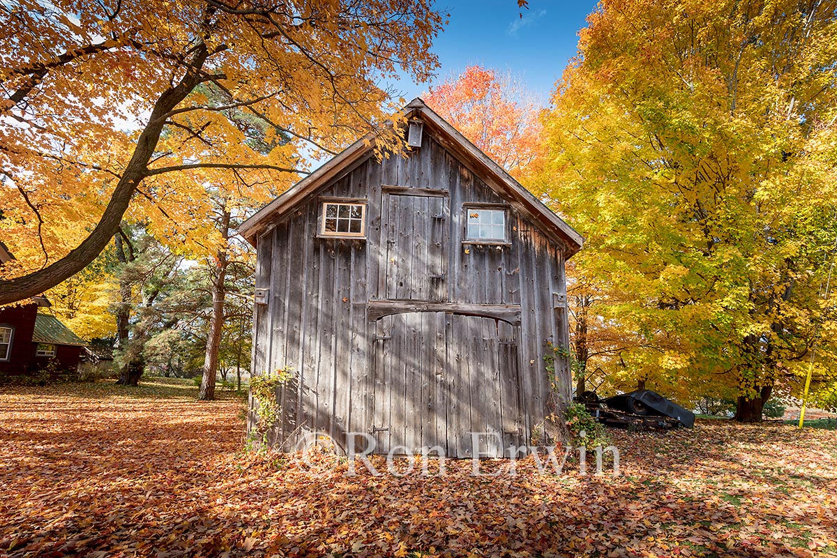 Old Shed, PEC, ON