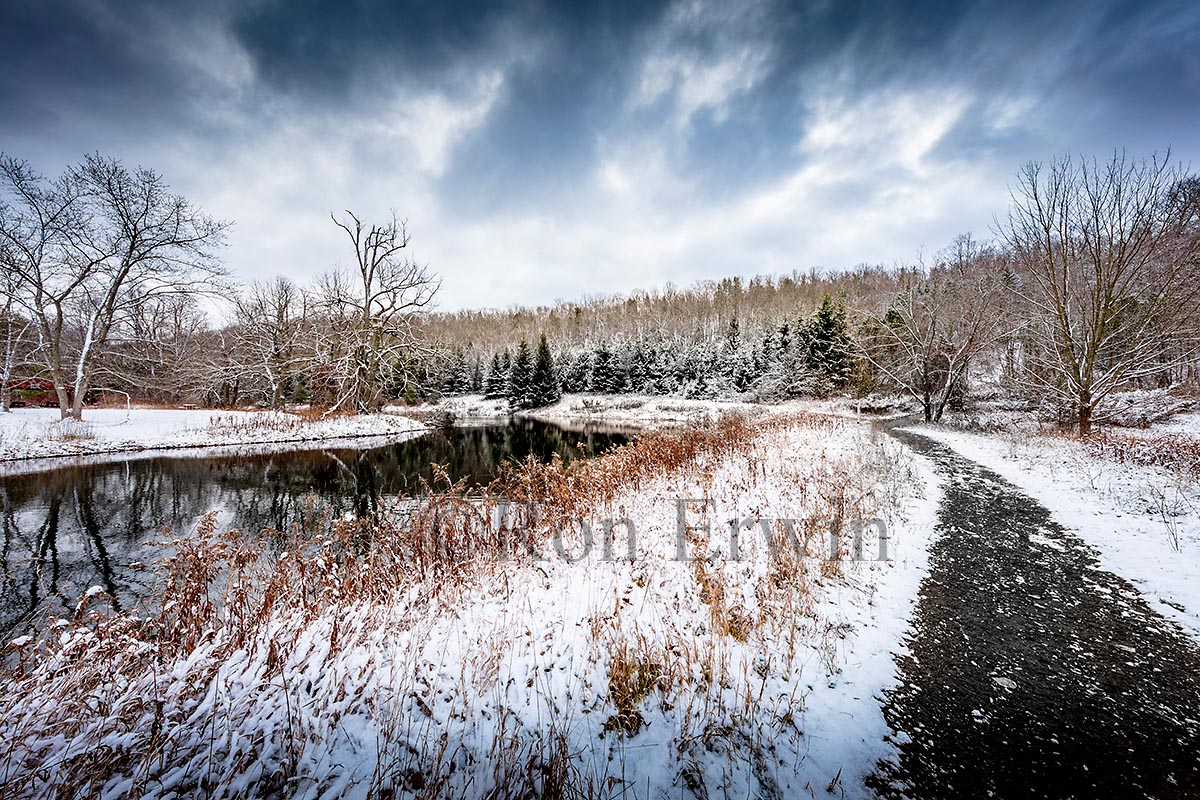Macaulay Conservation Area Winter