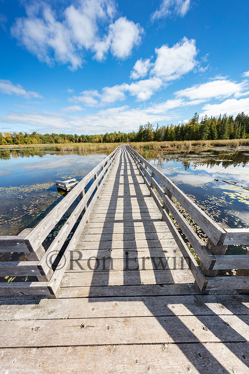 HR Frink Conservation Area