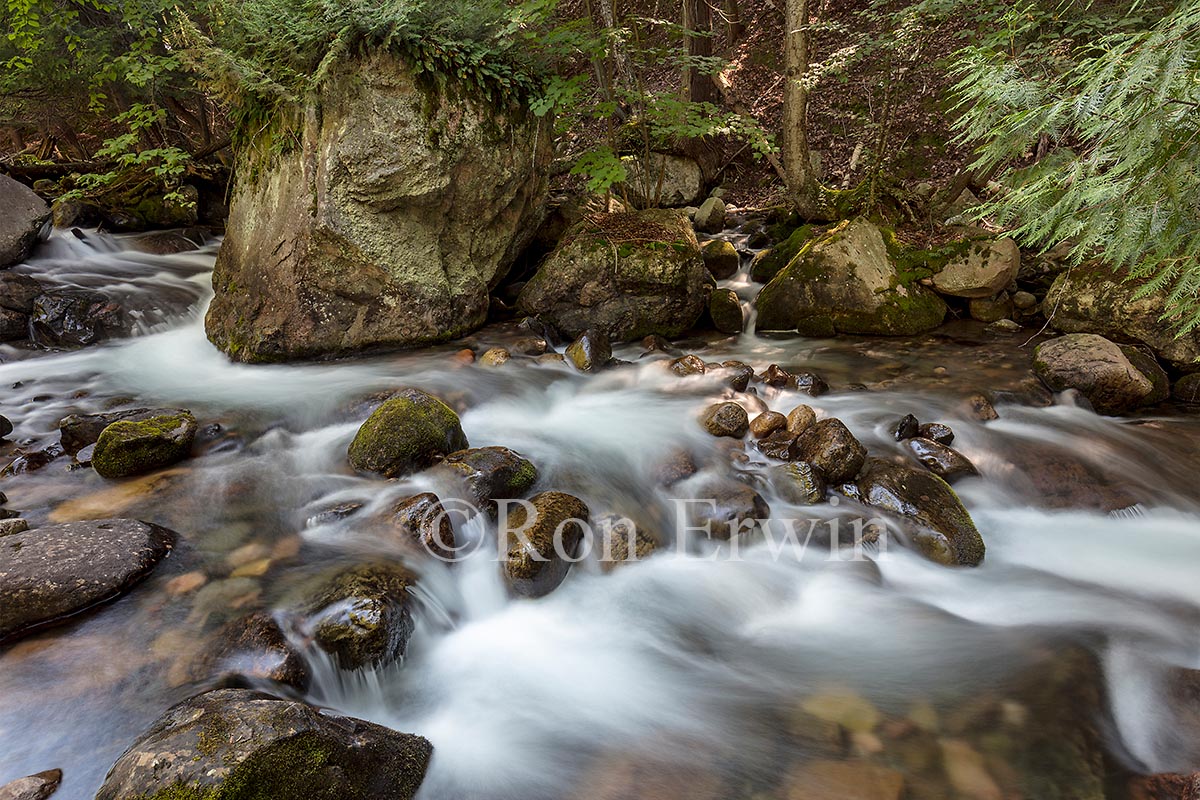 Harris Creek Ontario