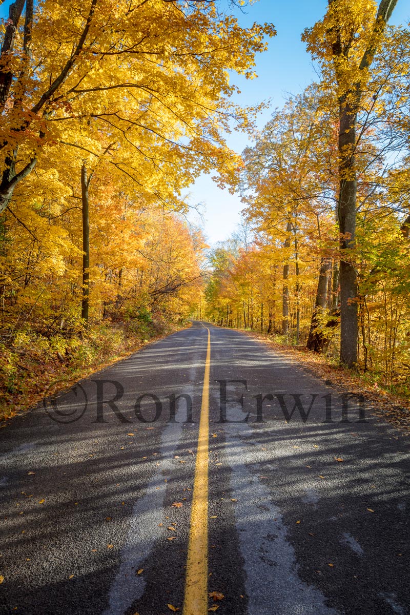 Grimmon's Woods, Ontario
